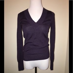 The Limited v neck sweater